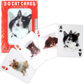 3D Cat Playing Cards