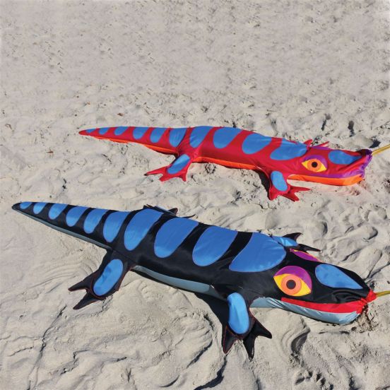 George Peters Lizard Sandimal Kite Anchor