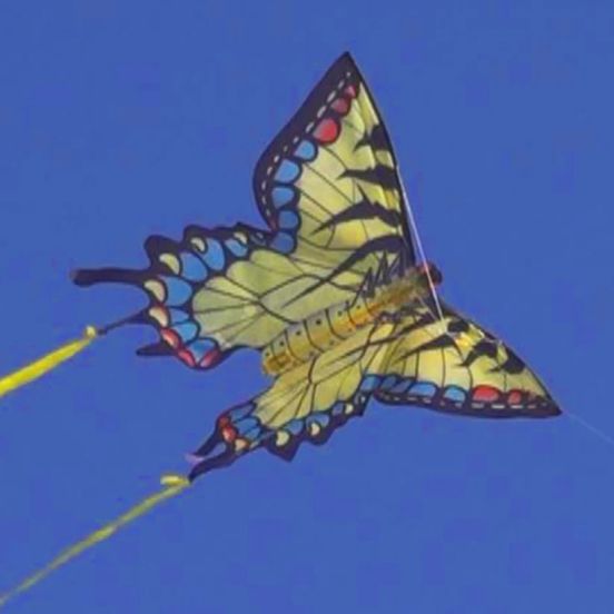 Swallowtail Butterfly Kite