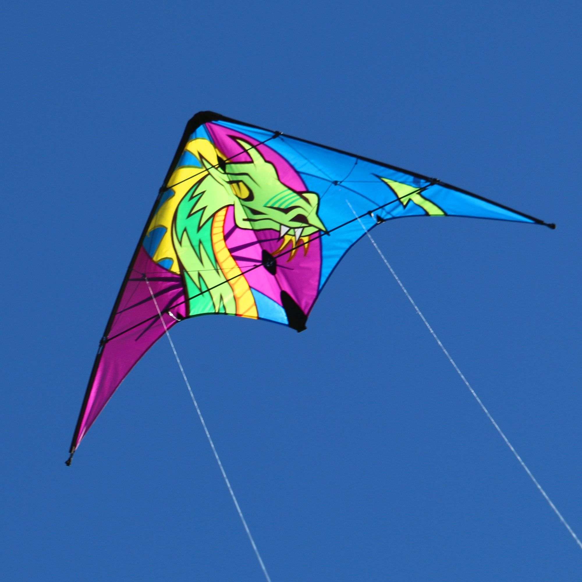 Little Wing Dragon