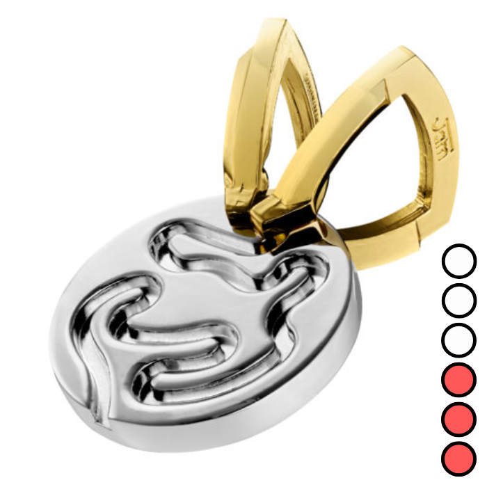 Hanayama Metal Cast Puzzle