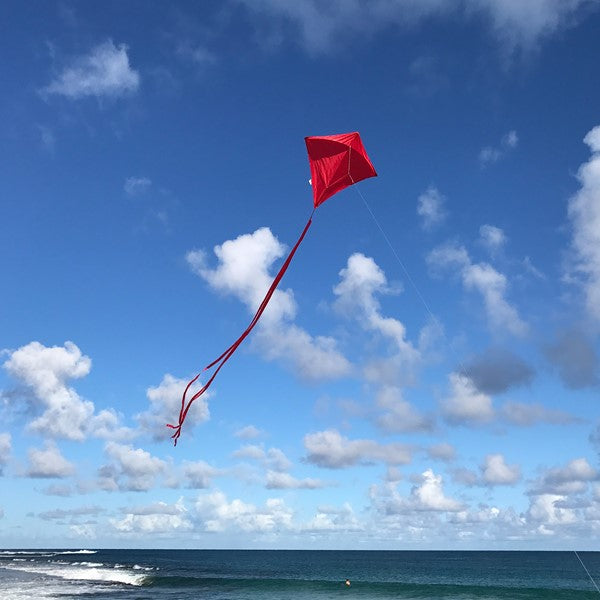 Colorfly Diamond Kite