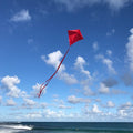 Colorfly Diamond Kite