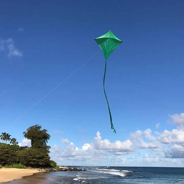 Colorfly Diamond Kite