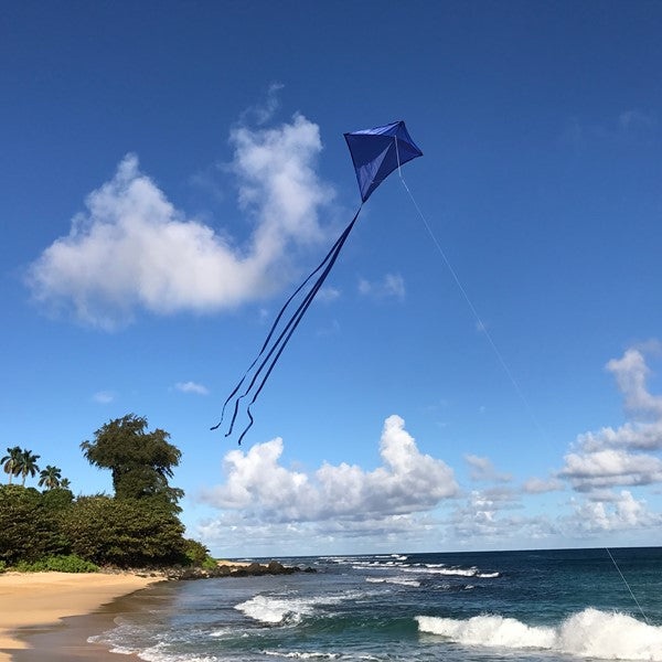 Colorfly Diamond Kite