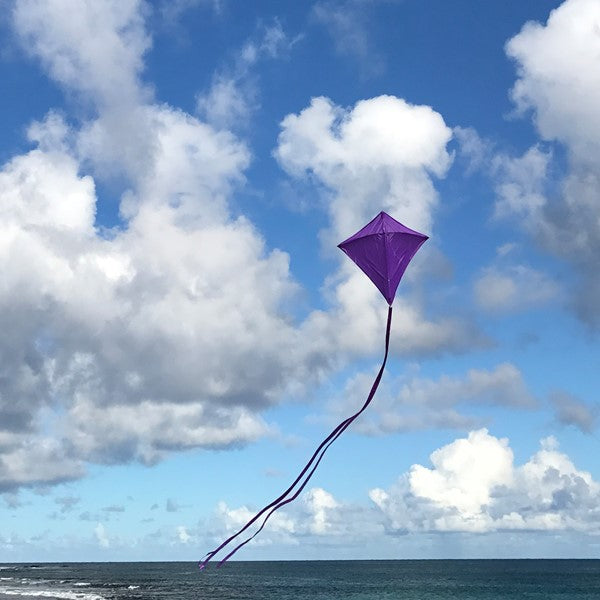 Colorfly Diamond Kite