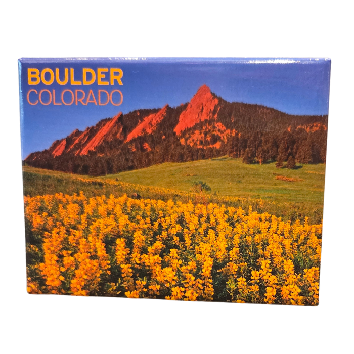 2"x 3" Colorado Magnet