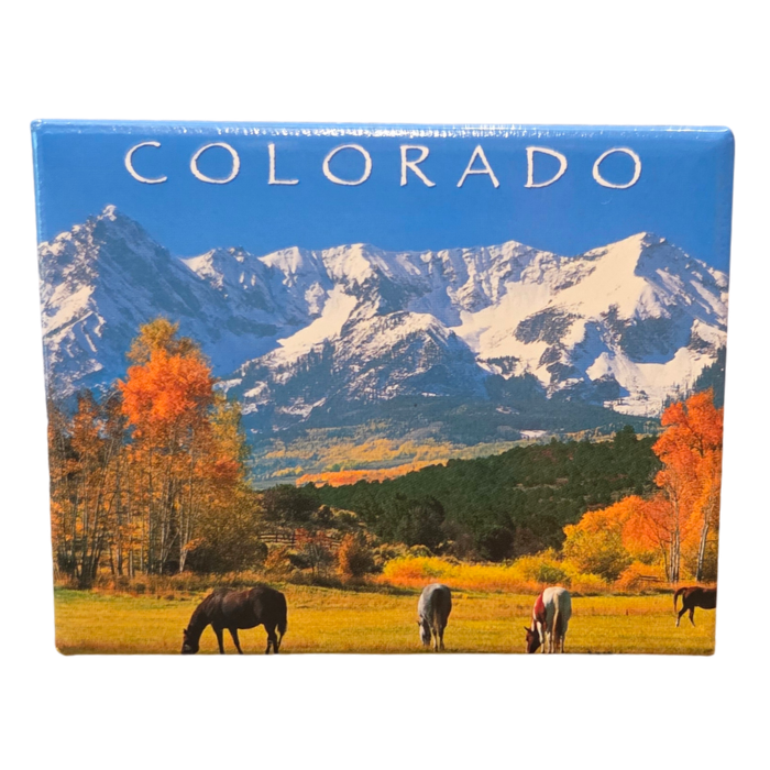 2"x 3" Colorado Magnet