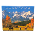 2"x 3" Colorado Magnet