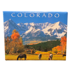 2"x 3" Colorado Magnet