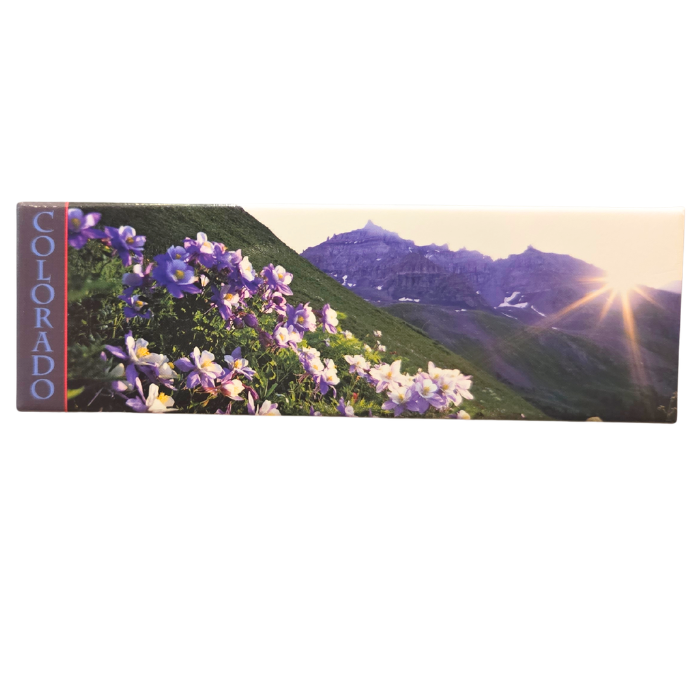 1"x 5" Colorado Magnet