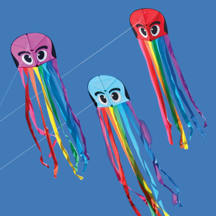 Rainbow Octopus Kite