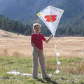 ITW Paint A Diamond Kite