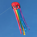 Rainbow Octopus Kite