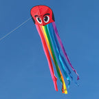 Rainbow Octopus Kite