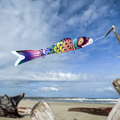 5ft Rainbow Koi Windsock