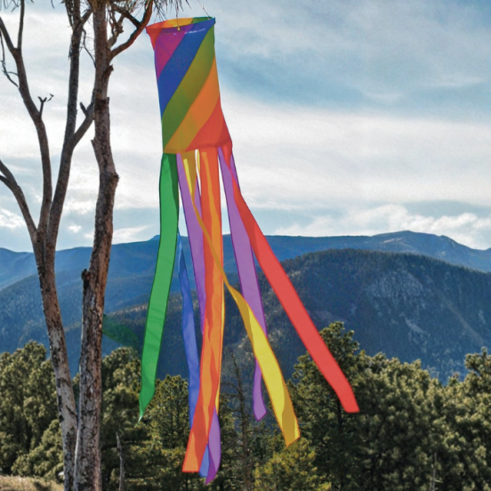 60" Rainbow Swirl Windsock