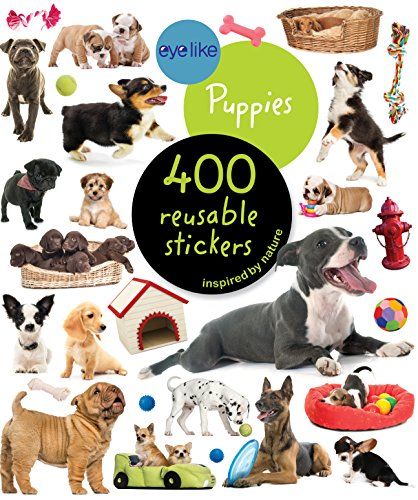 Eyelike Reusable Sticker Book