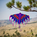 Phoenix Banner