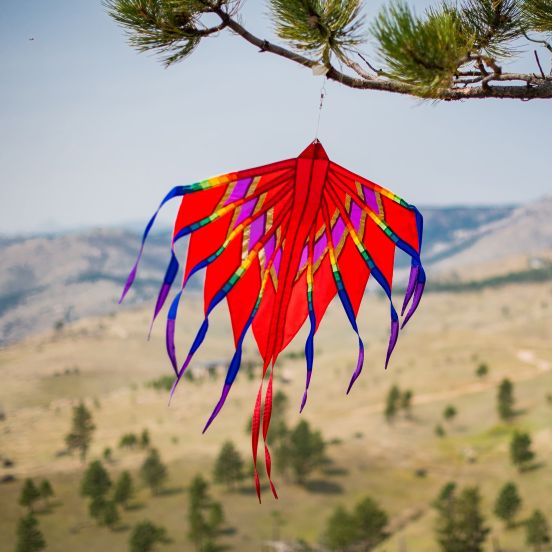 Phoenix Banner