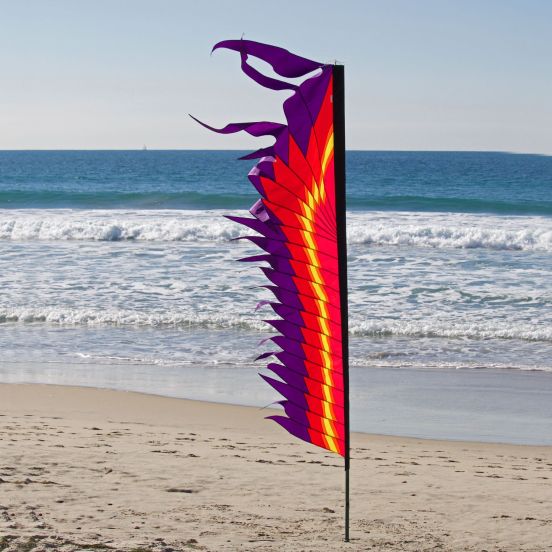 Electra Banner