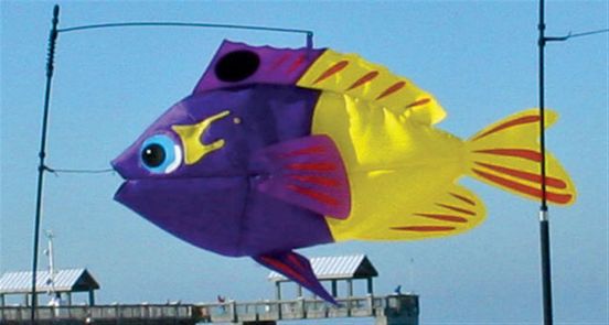 Tropical Swimming Fish Windsock
