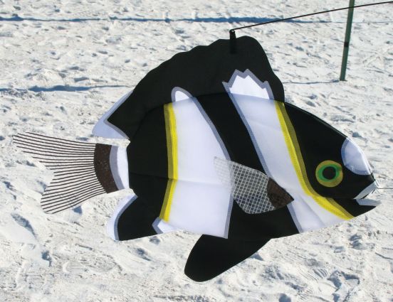 Tropical Swimming Fish Windsock