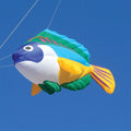 8ft Peacock Wrasse Line Laundry