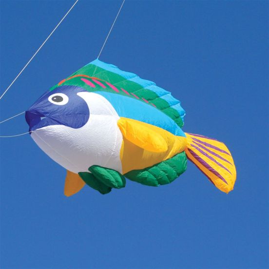 8ft Peacock Wrasse Line Laundry