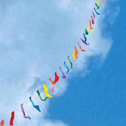 100ft Rainbow Flag Line
