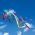 Orbiter Star Wind Spinner