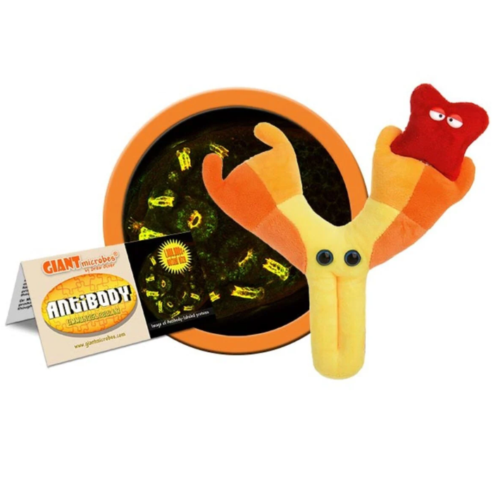 Antibody (Immunoglobulin) Giant Microbe