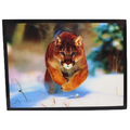 3D Nature Poster