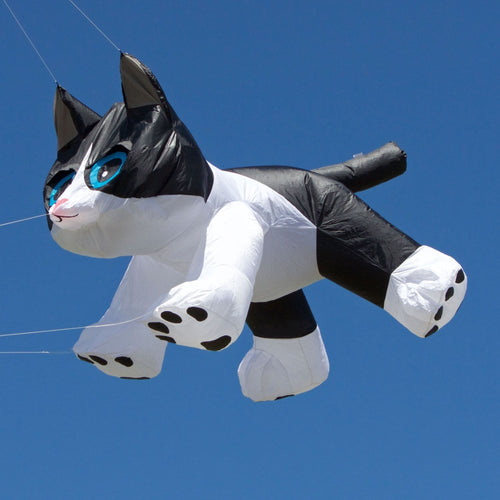 8ft Kitten Line Laundry