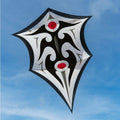 Carsten Domann's Sky Shield