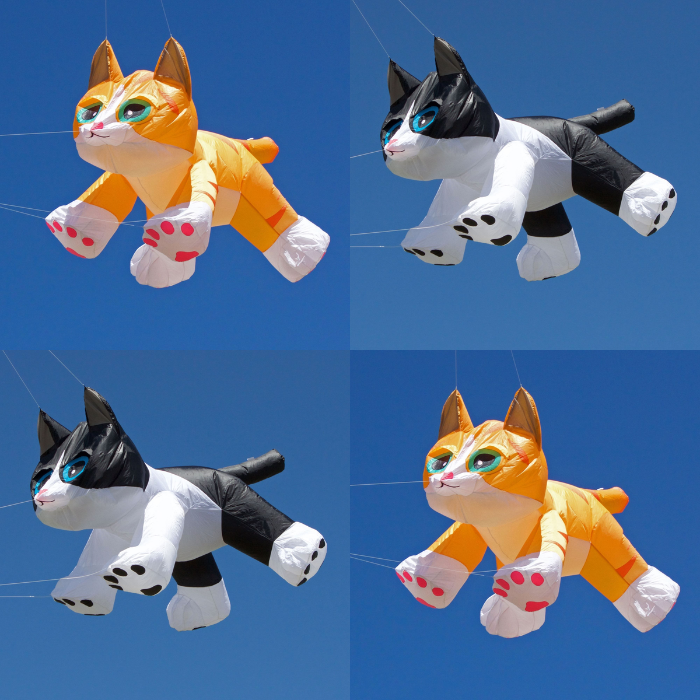 8ft Kitten Line Laundry