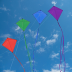 Colorfly Diamond Kite