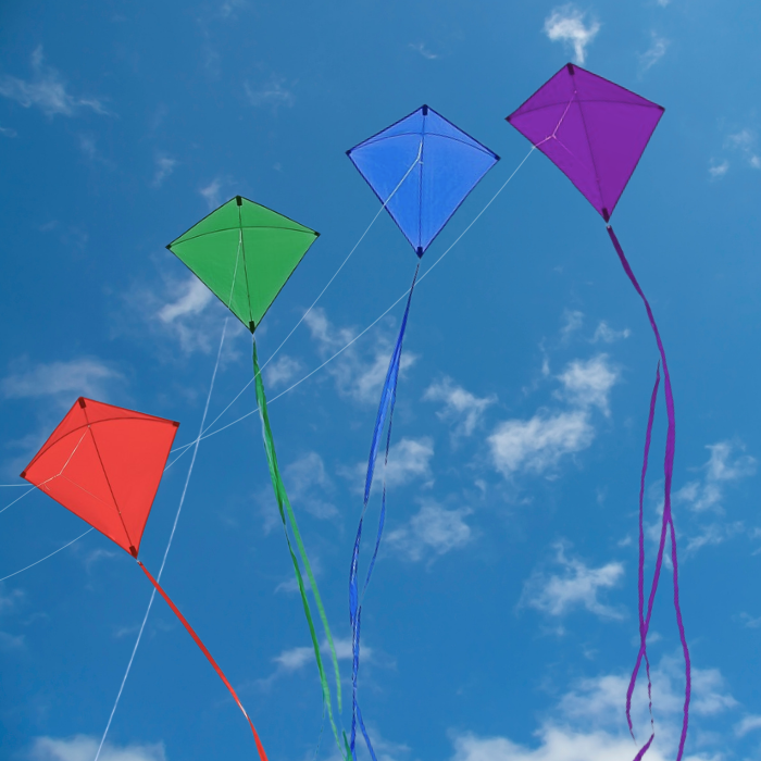 Colorfly Diamond Kite