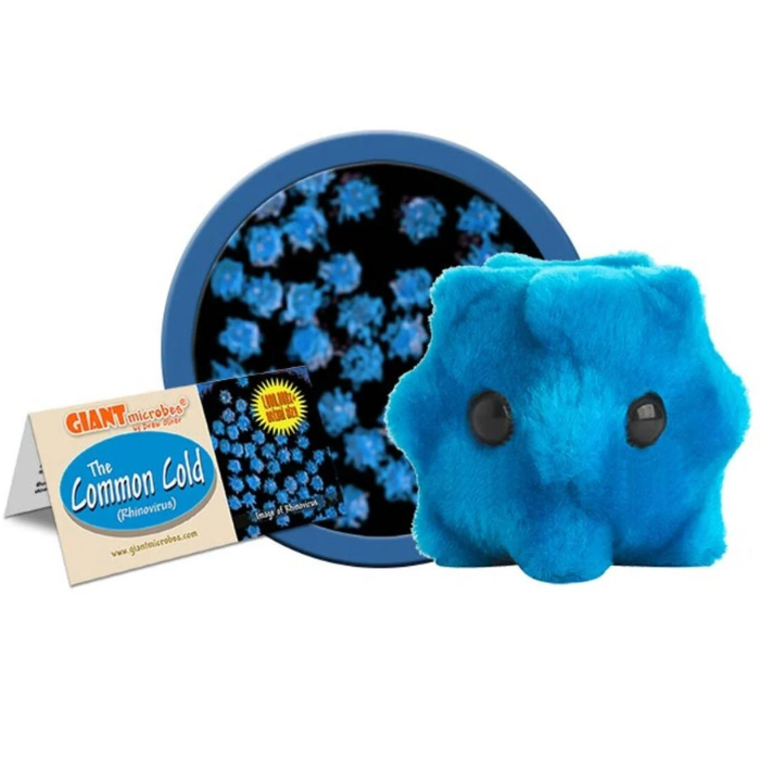 Common Cold (Rhinovirus) Giant Microbe