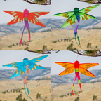 Damselfly Banner