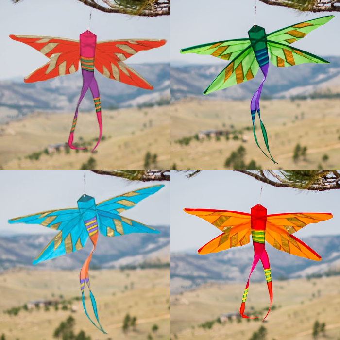 Damselfly Banner