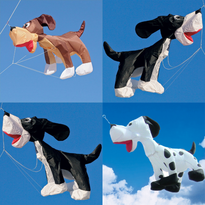 8ft Dog Line Laundry