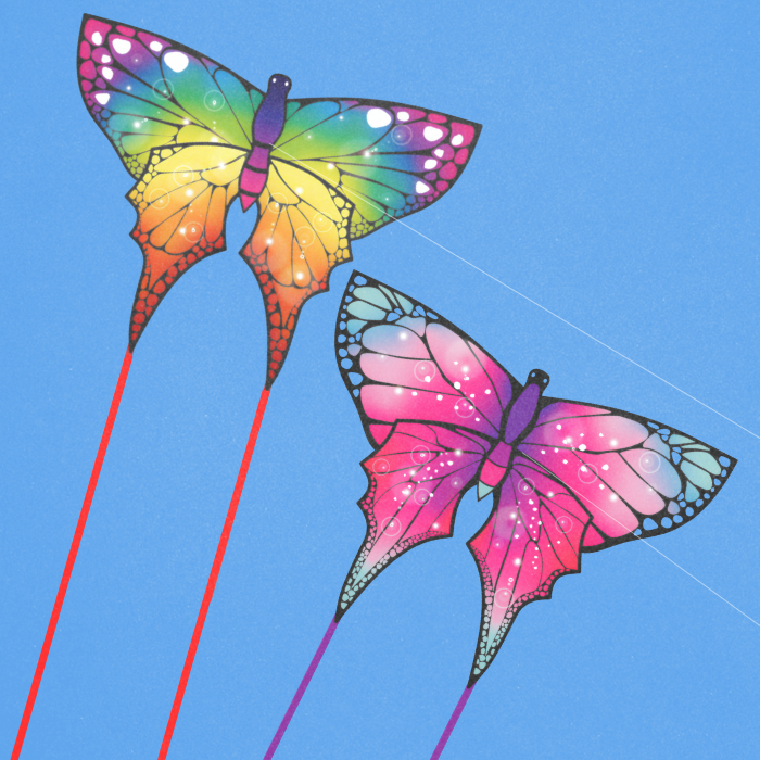 Eco Butterfly Kite