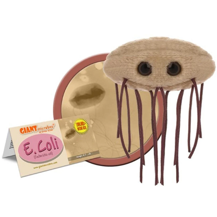 E. Coli Giant Microbe