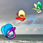 EO Atom Kite