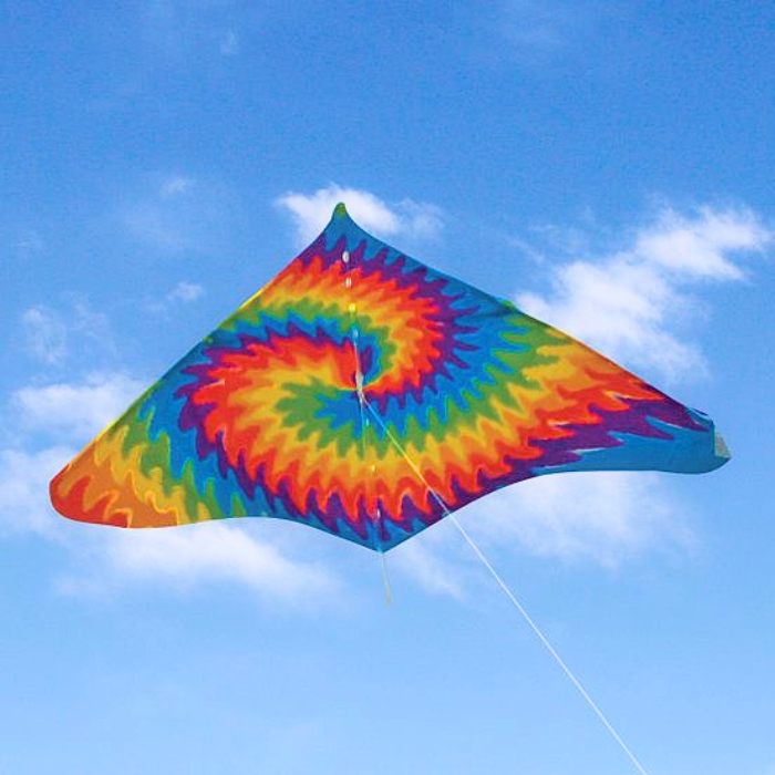 Gayla Trendsetter Delta Kite