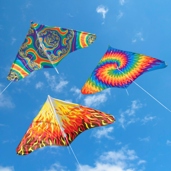 Gayla Trendsetter Delta Kite
