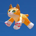 8ft Kitten Line Laundry