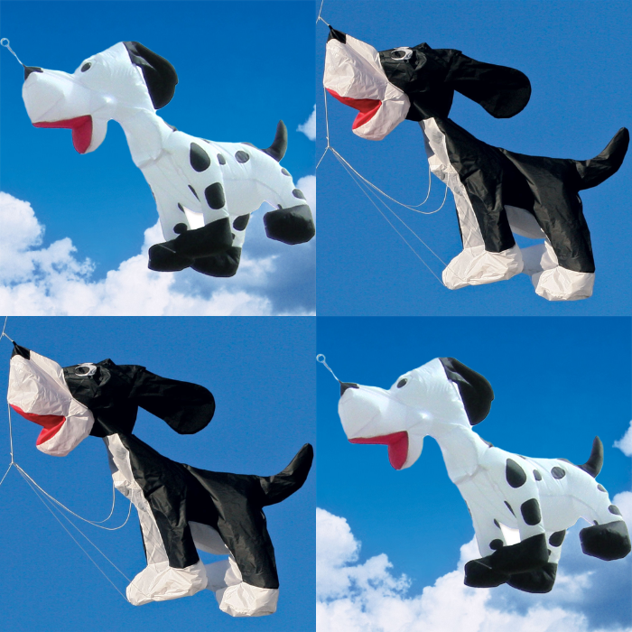 4ft Dog Line Laundry