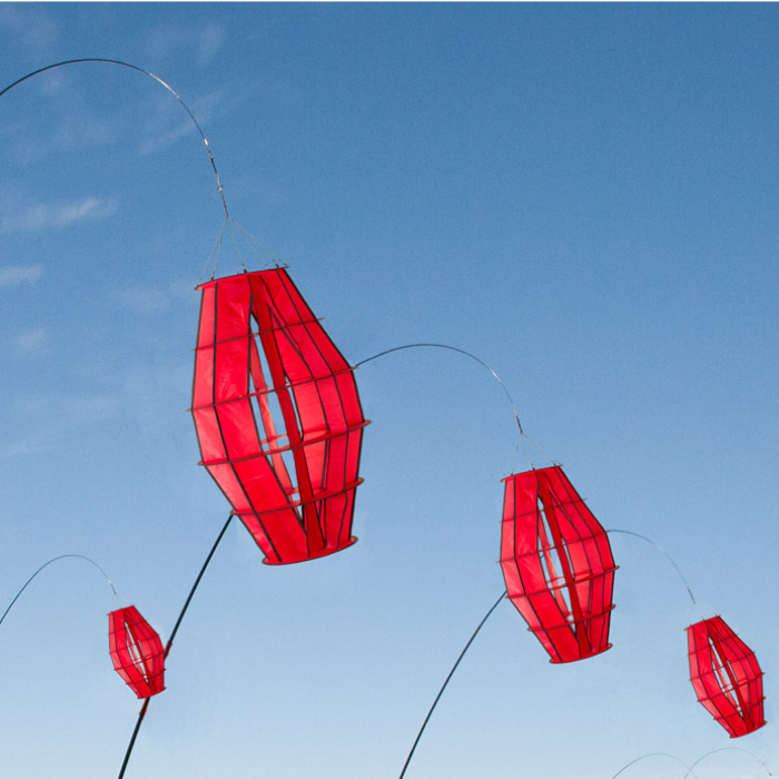 Hoffmann's Lantern